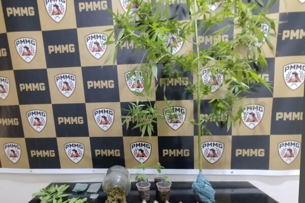 Homem de 30 anos é preso por tráfico de drogas em Ervália
