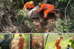 Bombeiros resgatam cavalo atolado em mina d’água na zona rural de Teixeiras